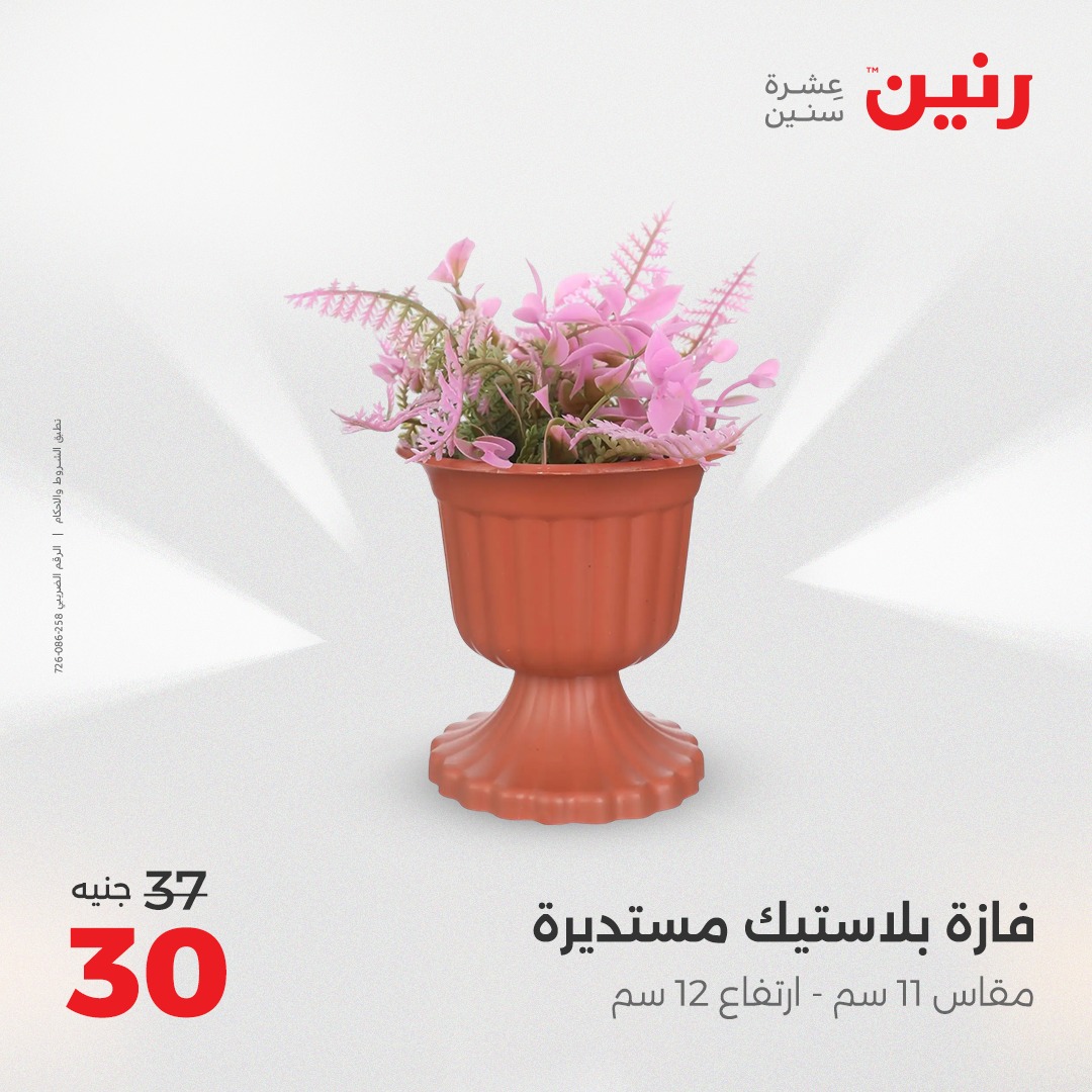 raneen offers from 30aug to 2aug 2025 عروض رنين من 30 أغسطس حتى 2 أغسطس 2025 صفحة رقم 190